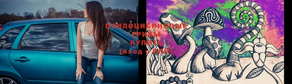 ПСИЛОЦИБИНОВЫЕ ГРИБЫ Волоколамск