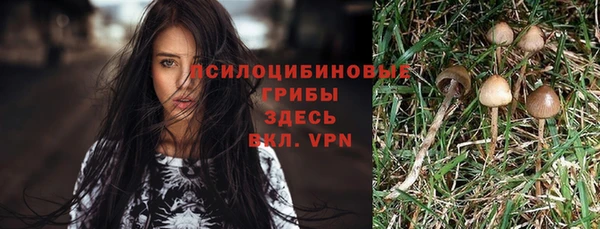 бошки Володарск